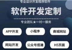全行业软件定制开发 硬件程序开发 安卓ios端app开发